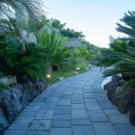 Villa A Dream Ischia
